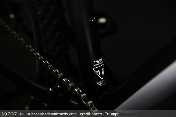 Moutain Bike Triumph XCx Moutain Bike Triumph XCx