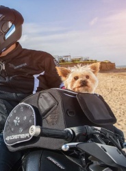 Sacoche de réservoir pour animaux Bagster Puppy