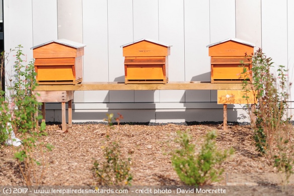 Motoblouz fait livrer par abeilles