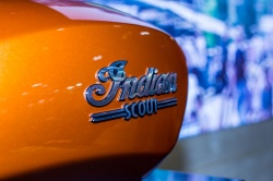 Indian Icon Paint Series