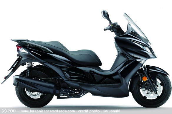 Kawasaki J300
