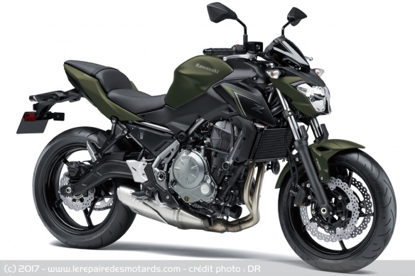 Kawasaki Z650 Vert Metallic Matte Cover