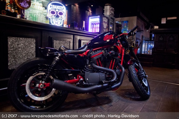 Harley Queen - HD District 78