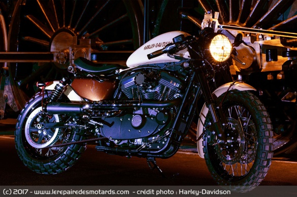 Roadster Desert Storm - HD Mulhouse