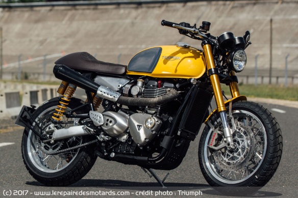Triumph Montpellier