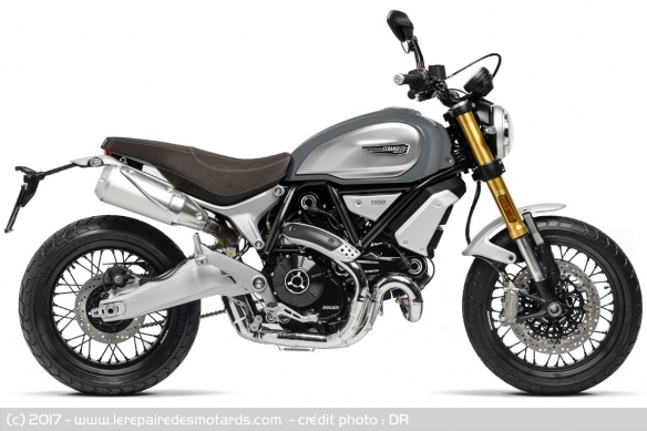 Ducati Scrambler 1100, Special