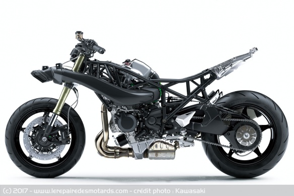 Kawasaki Ninja H2 SX & SE