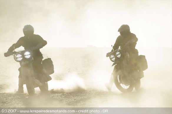 Les Desert Wolves sont exposées au Wheels and Waves