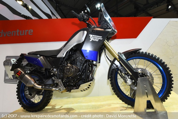 Prototype Yamaha Ténéré 700 World Raid