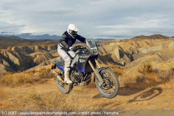 Prototype Yamaha Ténéré 700 World Raid