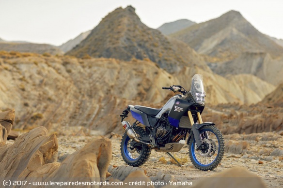 Prototype Yamaha Ténéré 700 World Raid
