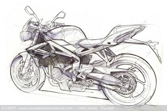 Sketch Triumph Street Triple 800