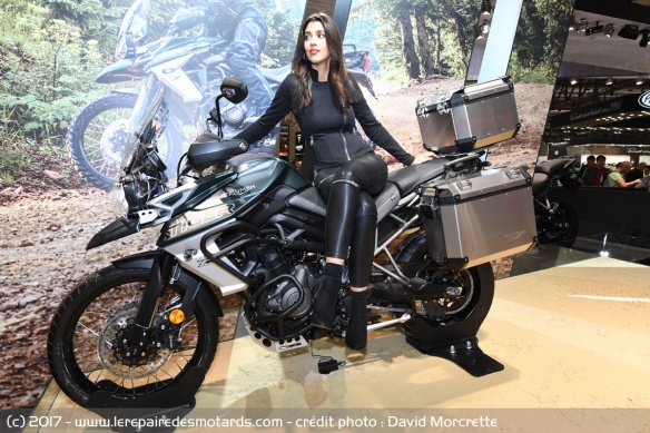Triumph Tiger 800 XR & XC