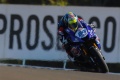WSS  victoire Caricasulo