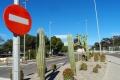 Ambiance mag   attention cactus !
