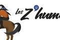 Zhumeurs C combien chevaux ?