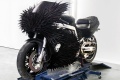Les motos à plumes