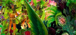 Le Carnaval de Rio bat son plein