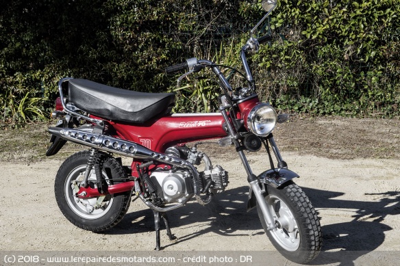 Honda Dax