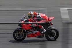 WSBK : victoire Davies