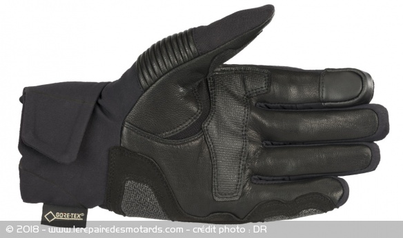 Intérieur en cuir des gants hiver Alpinestars : Surfer Gore Grip