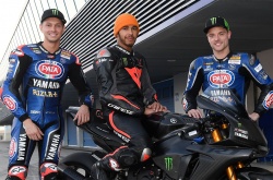 van der Mark, Hamilton et Lowes
