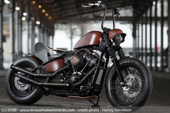 Street Bob Art's - Street Bob