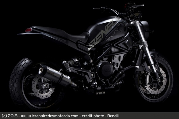 Concept Benelli Leoncino 800