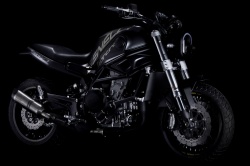 Concept Benelli Leoncino 800