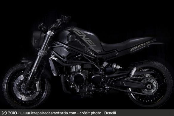 Concept Benelli Leoncino 800