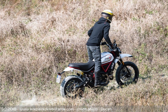 Ducati Scrambler Desert Sled 2019