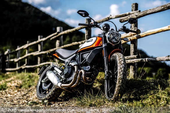 Ducati Scrambler Icon