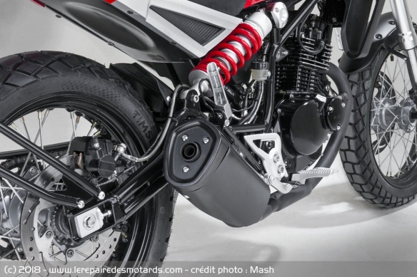 Mash Falcone 125