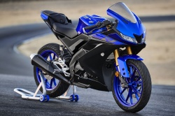 Sportive Yamaha YZF-R125