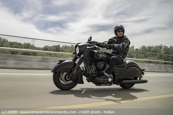 Indian Chief Dark Horse