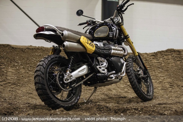 Triumph Scrambler 1200 préparée pour la Baja 1000