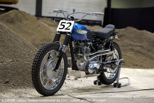 Triumph Scrambler TR6 historique