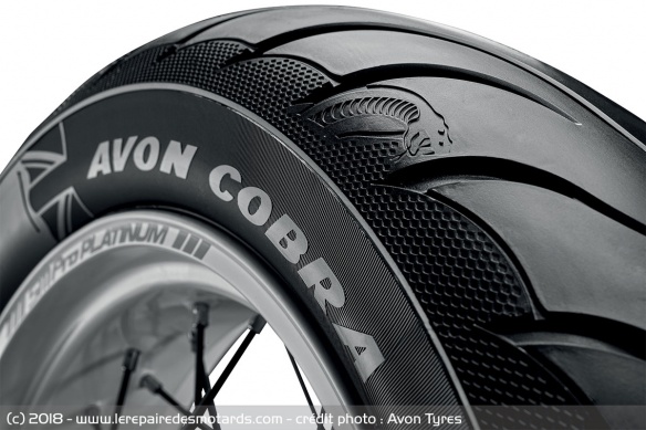 Le cobra se retrouve sur les épaules du pneu