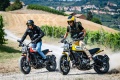Ducati Scrambler Icon
