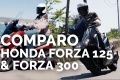 Essai comparatif Honda Forza 125 300