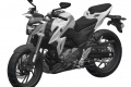 Une GSX S 300 cartons Suzuki ?