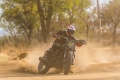 Harley Davidson convertit Inde flat track