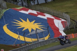 8h Sepang : Yamaha Sepang Racing en pole - Crédit photo : Good-Shoot