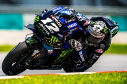 MotoGP : Viales passe la seconde à Sepang - crédit photo : Yamaha