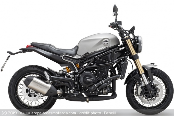 Benelli Leoncino 800