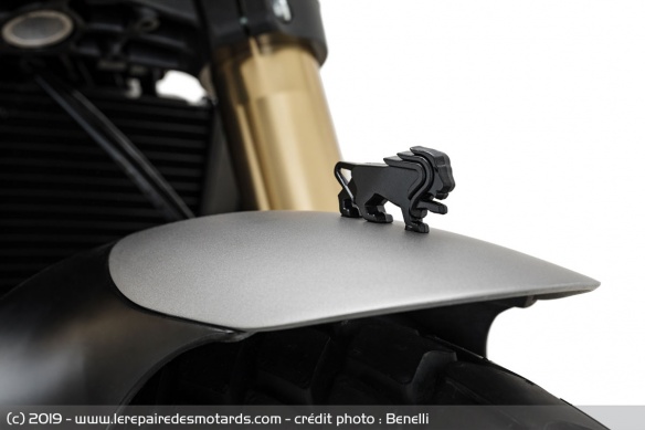 Benelli Leoncino 800