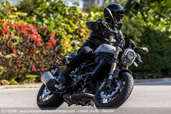 Benelli Leoncino 800