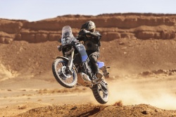 Yamaha Ténéré 700 : perfs, prix et dispo
