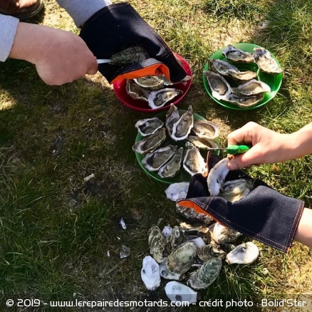 Le Bolid'Ster Oyster en action Le Bolid'Ster Oyster en action