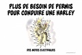 Plus besoin permis conduire Harley